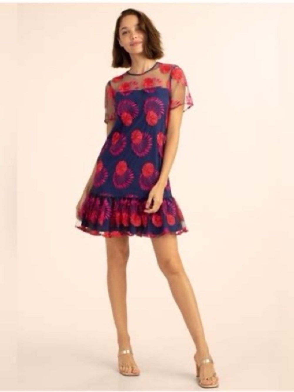 Trina Turk Embroidered Sheer Overlay Dress | NWT | Retail $358 Size 0